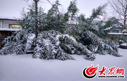 臨沂大到暴雪 氣象部門發(fā)布暴雪黃色預(yù)警