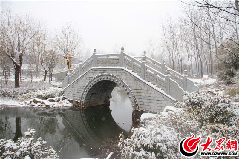 3、它們似梨花點點，縱橫交錯，織造出無邊帷幔，遮蔽了遠(yuǎn)望的視線，這些白色的精靈，越過了三季色，終于翩翩降臨了——臨沂的第一場雪。（大眾網(wǎng)記者 滿健 攝）.jpg