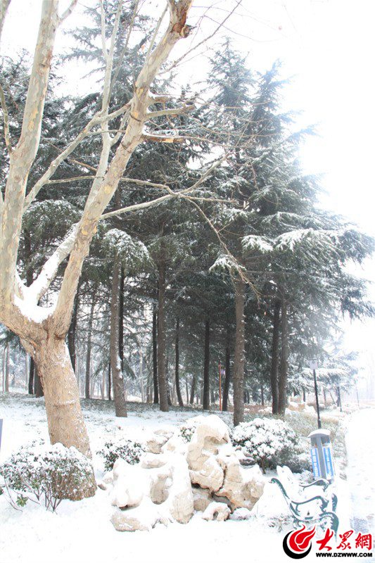 5、久沒有這樣舒暢過，張開雙臂擁抱初雪的清晨，心中一片澄明，搖一搖，雪花亂顫。滿眼的世界——極亮、極明、極干凈。（大眾網(wǎng)記者 滿健 攝）.jpg