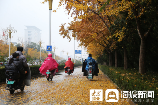 立冬后第一場(chǎng)雨！臨沂美爆了（組圖）103.png